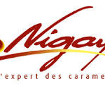 logo-nigay